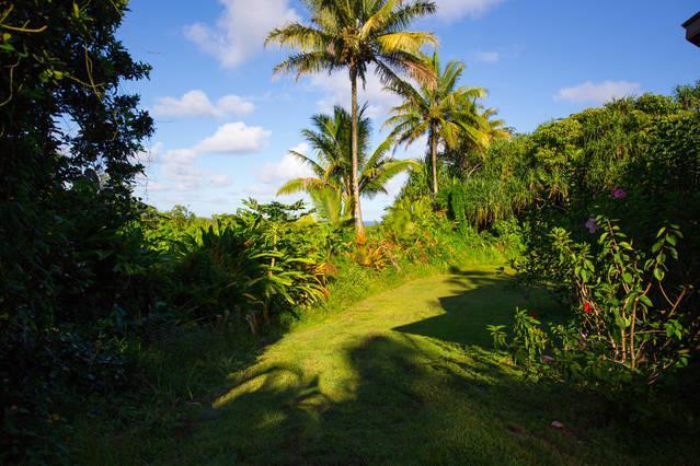 Kirpal Meditation And Ecological Center Pahoa Luaran gambar